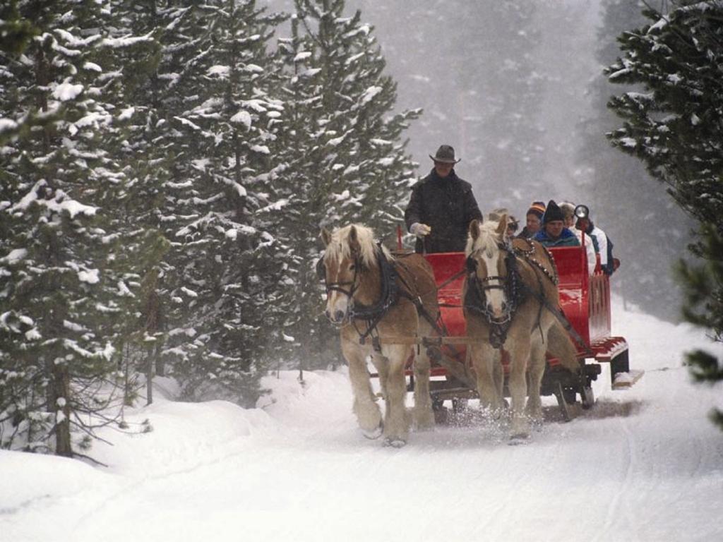 Mountain Thunder Lodge Breckenridge Dış mekan fotoğraf